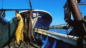 Un bote con redes y cuerdas, amarrado a un muelle.
