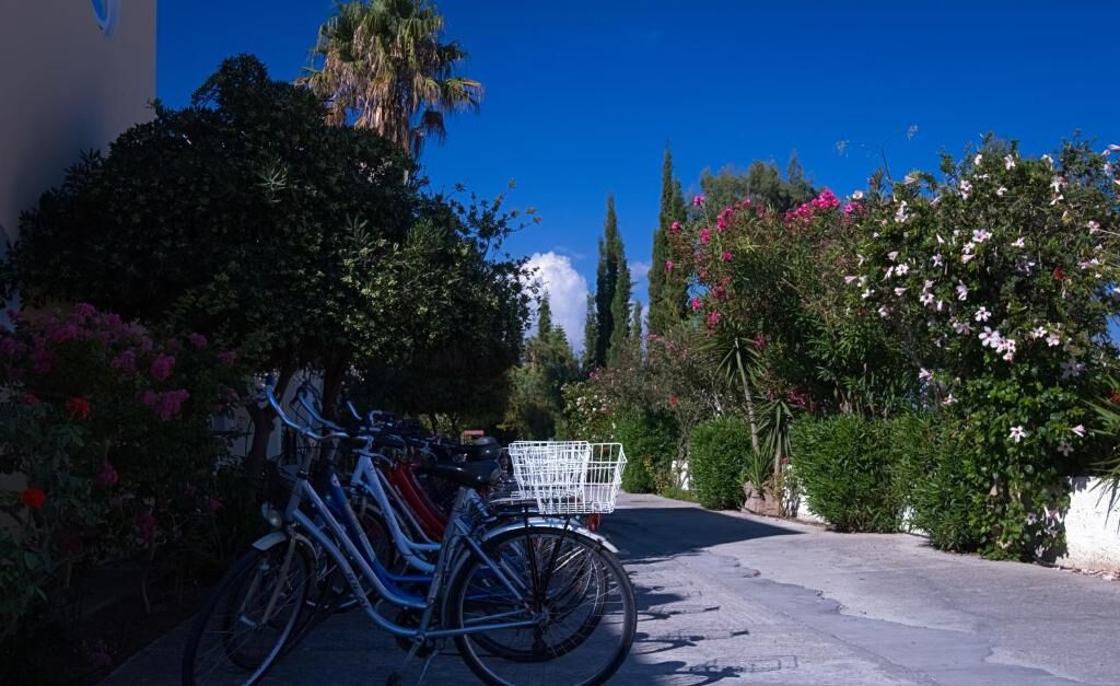 Área da propriedade