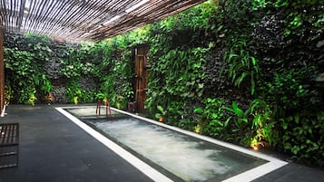 Bañera de hidromasaje interior