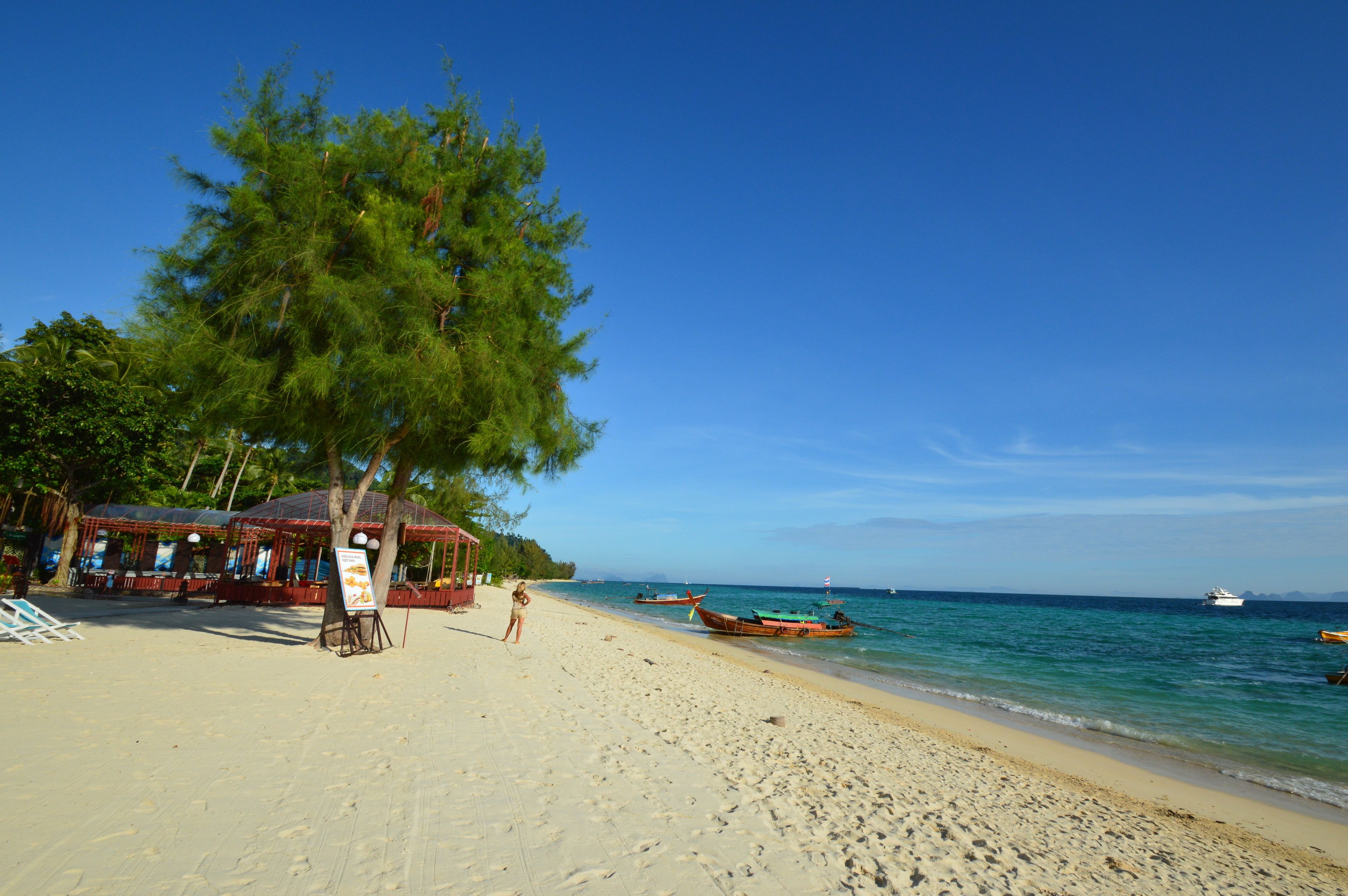 A beach with a wooden structure, a large tree, and boats in the water.