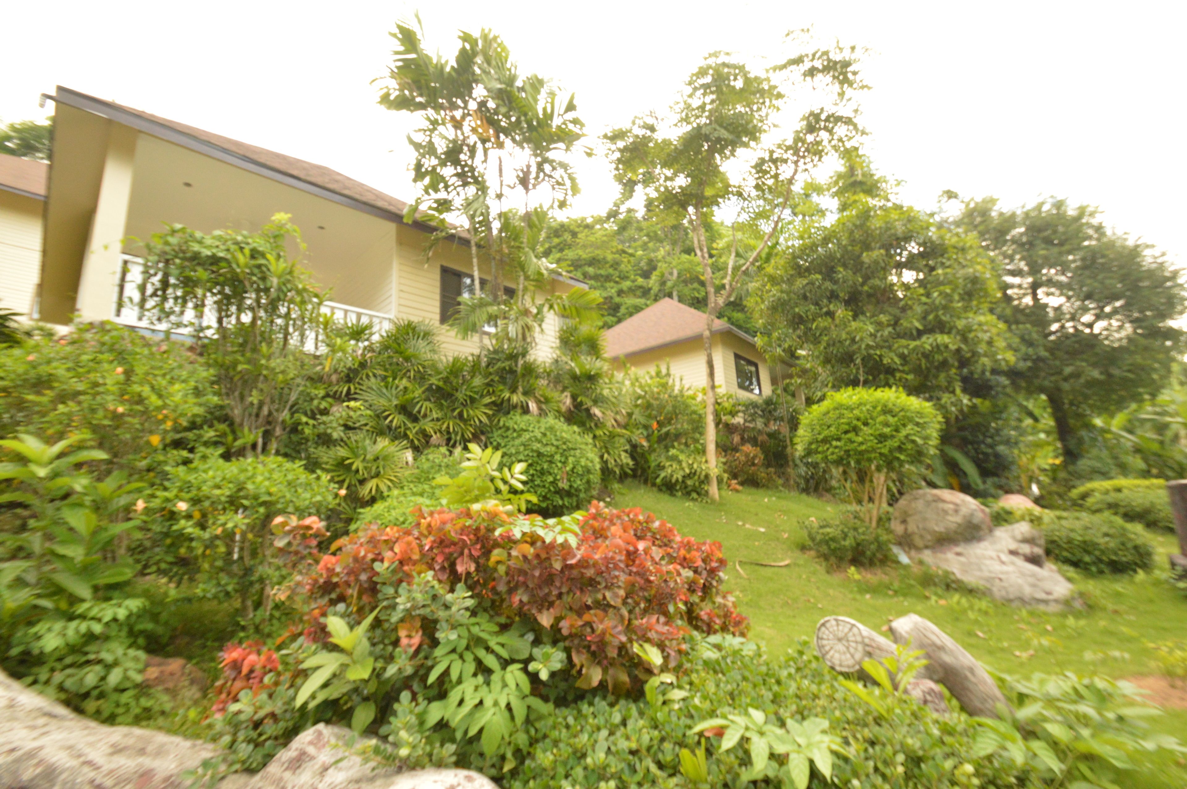 A house with a garden, surrounded by various plants and trees.