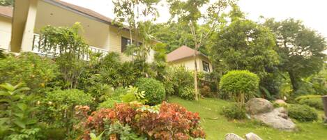 A house with a garden, surrounded by various plants and trees.