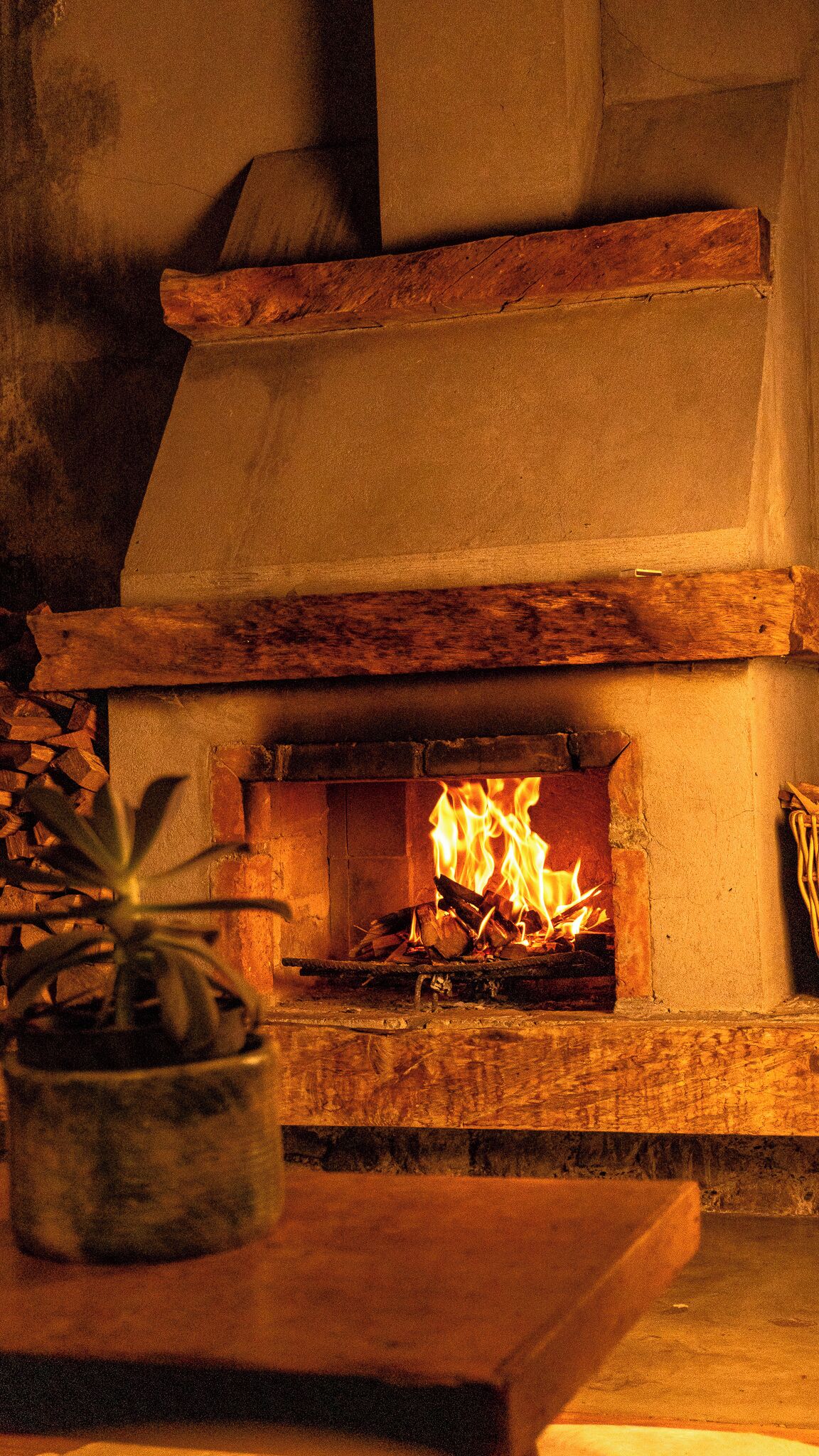 A fireplace with a fire burning, surrounded by wooden logs and a potted plant.
