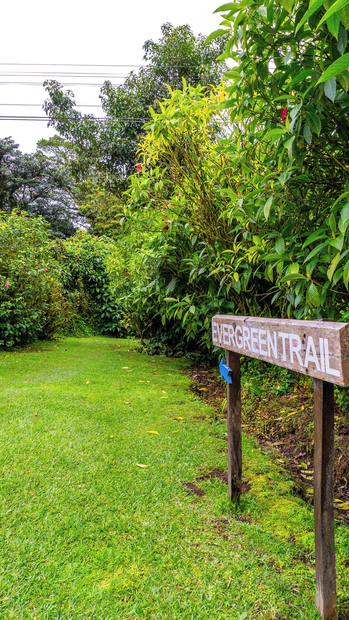 Photo - Poas Volcano Lodge