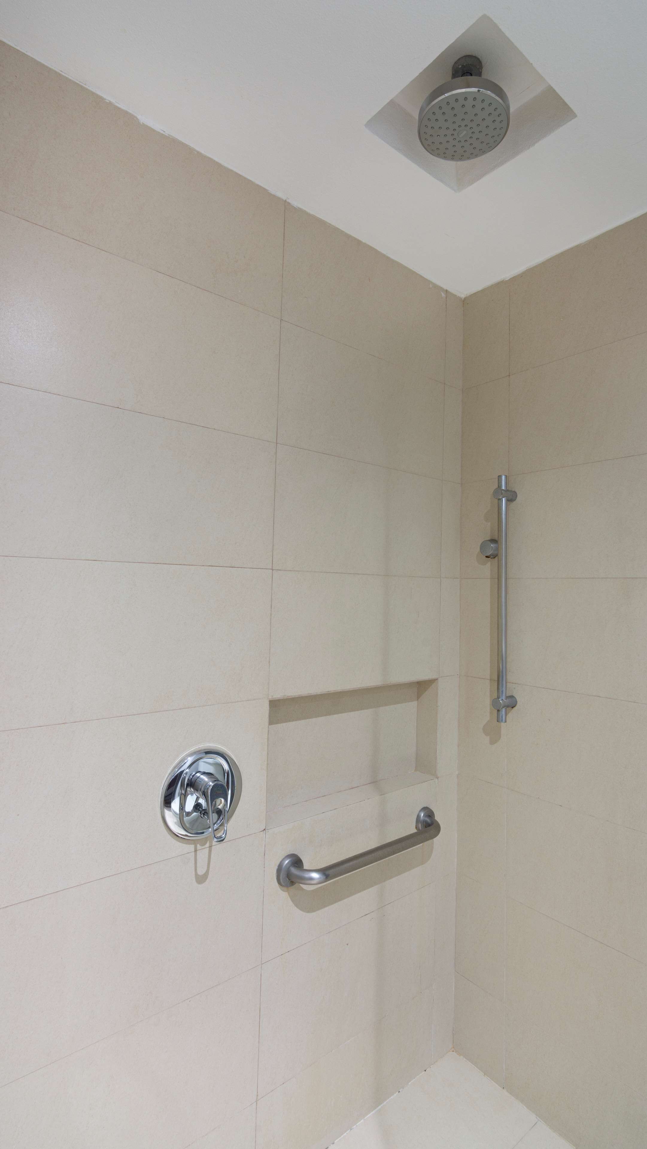 A shower area with a handheld showerhead, a wall-mounted faucet, and a grab bar.