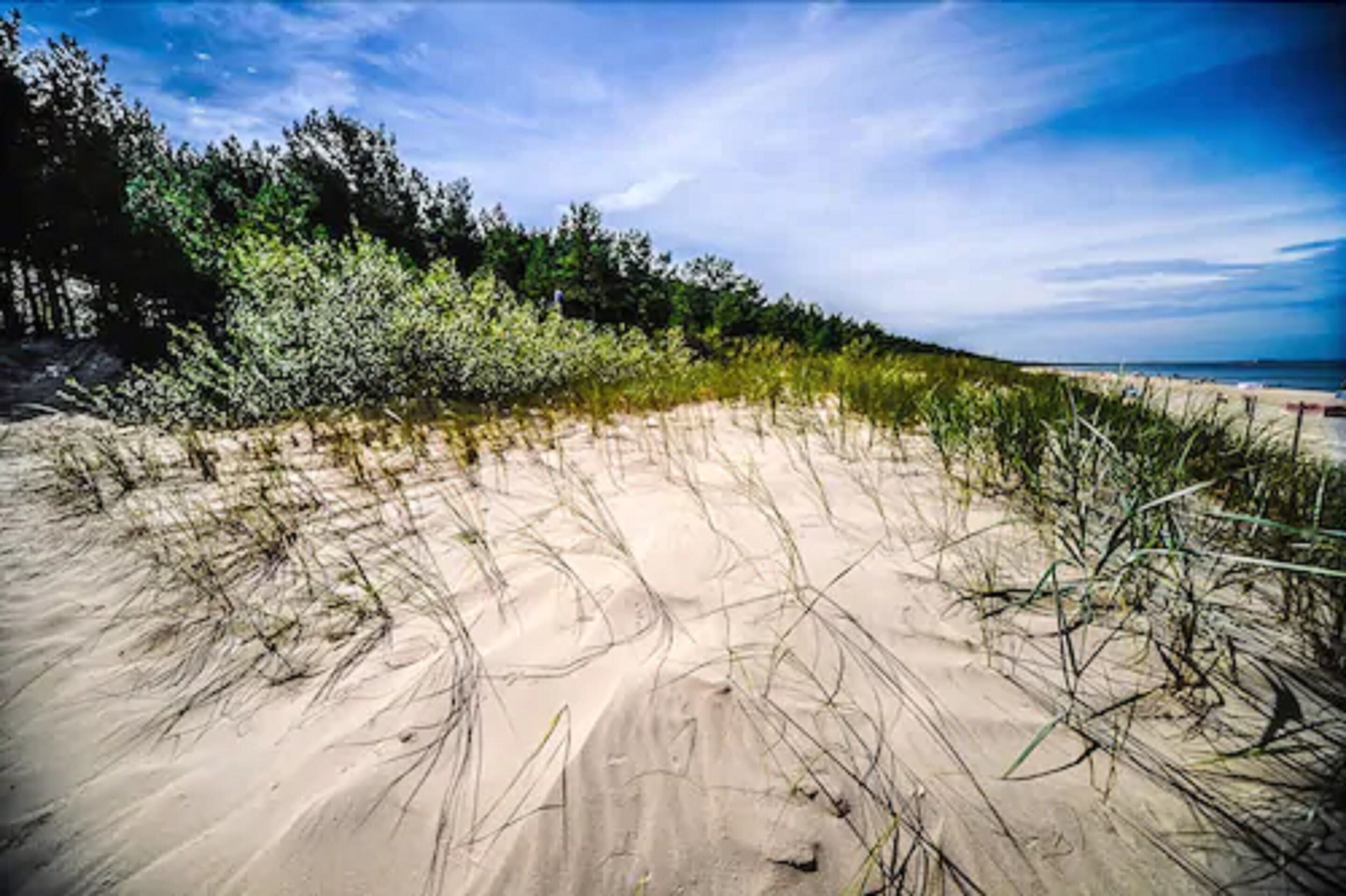 Una playa arenosa con vegetación escasa y un cielo despejado.