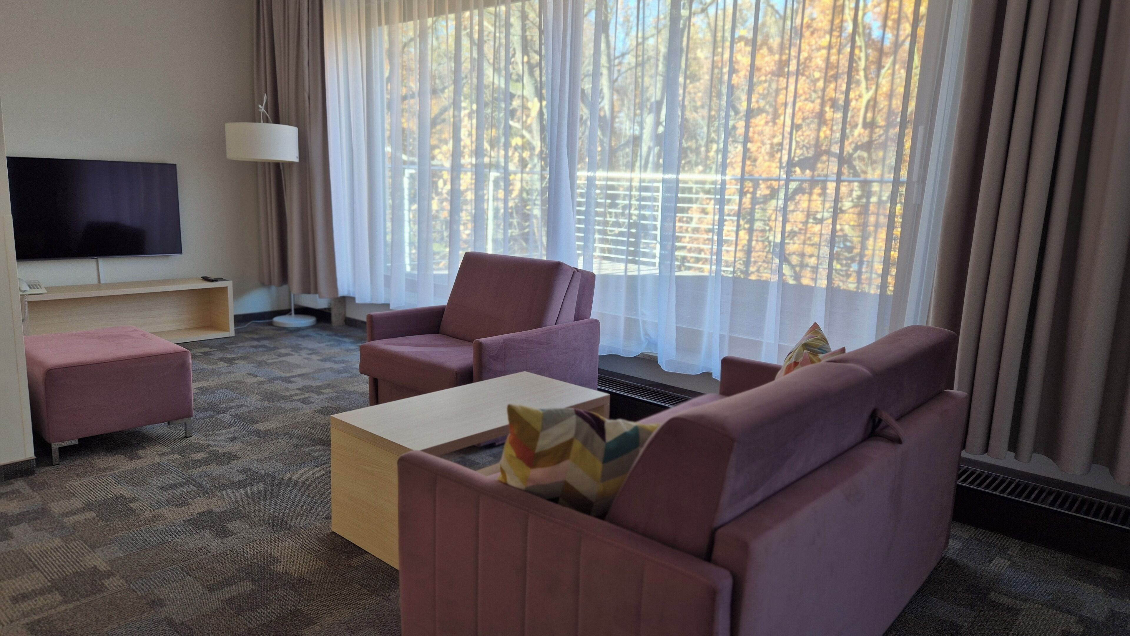 Coffres-forts dans les chambres, fer et planche à repasser