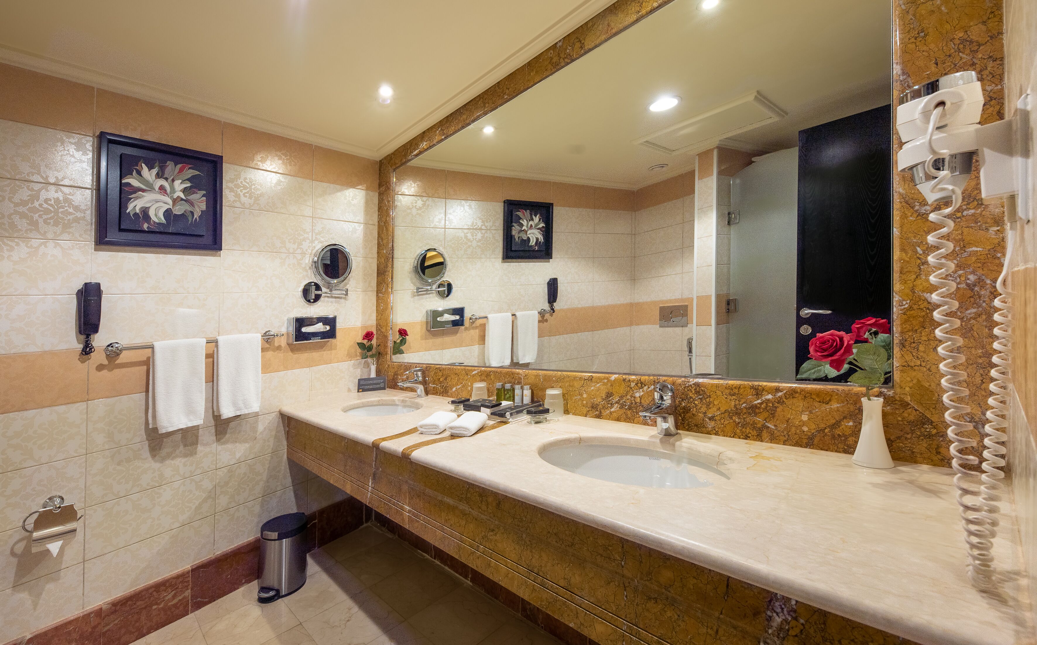 combined shower/bathtub, free toiletries, hair dryer, towels