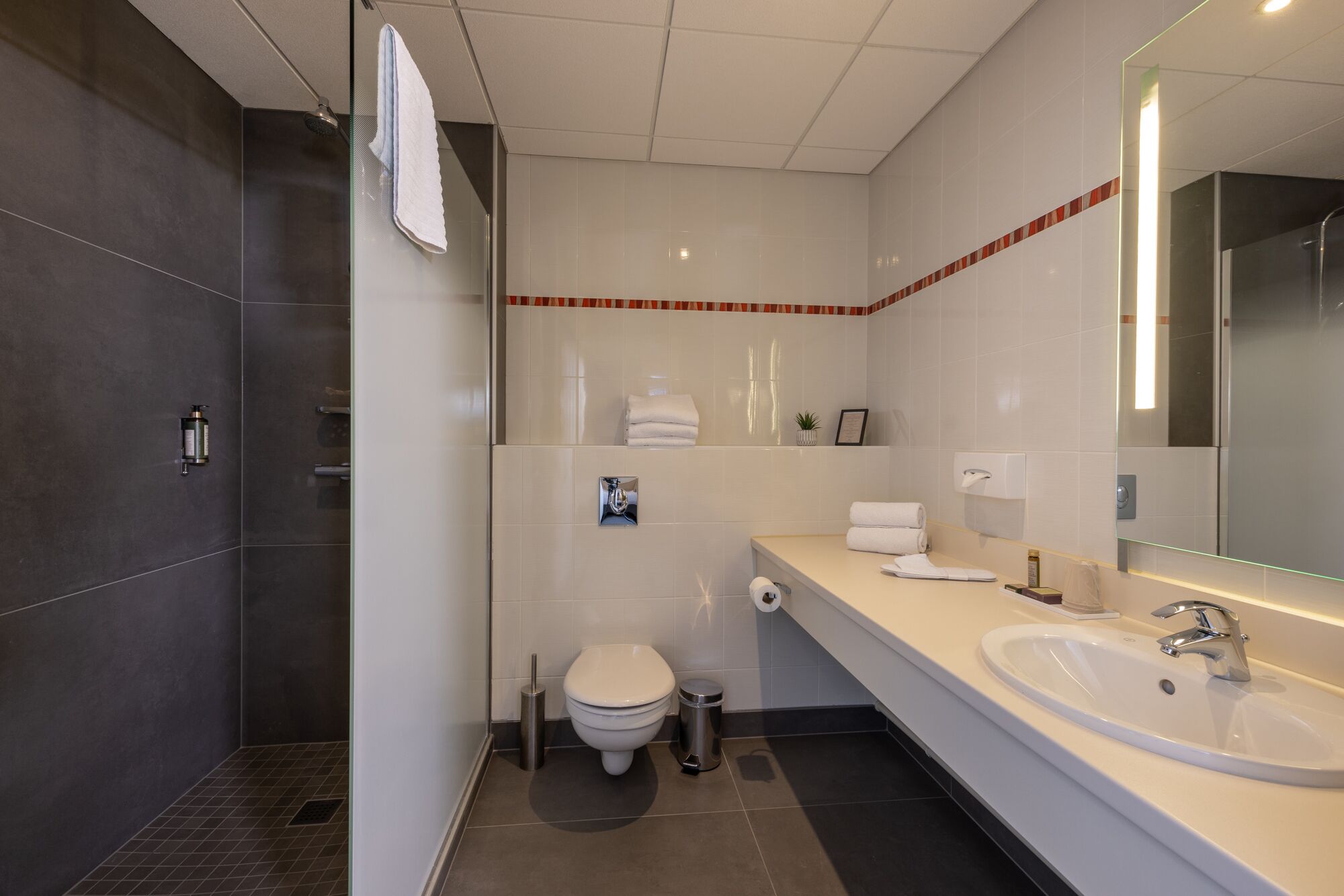 shower, free toiletries, hair dryer, towels