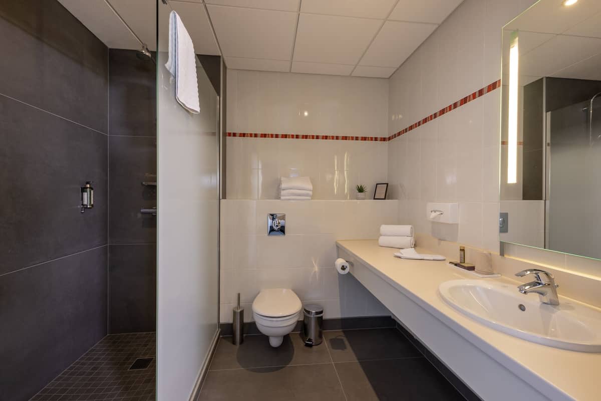 shower, free toiletries, hair dryer, towels