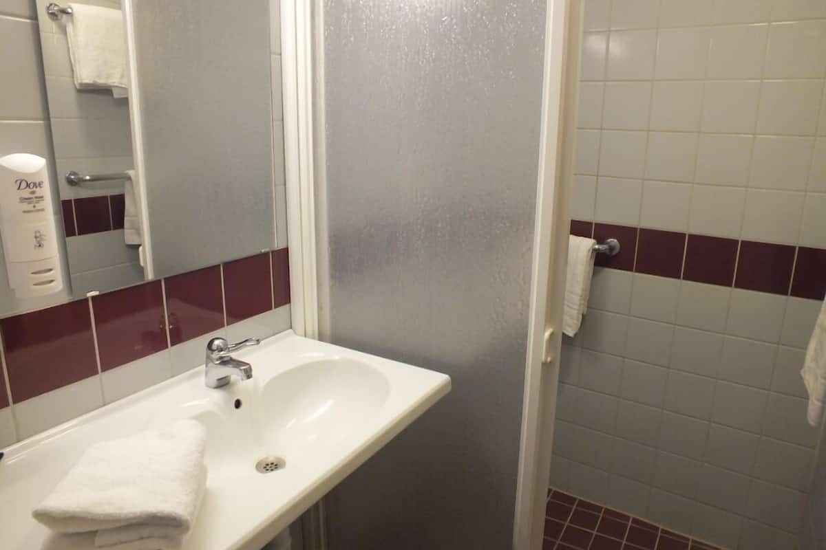 double room, river view | bathroom | shower, free toiletries, hair dryer, towels