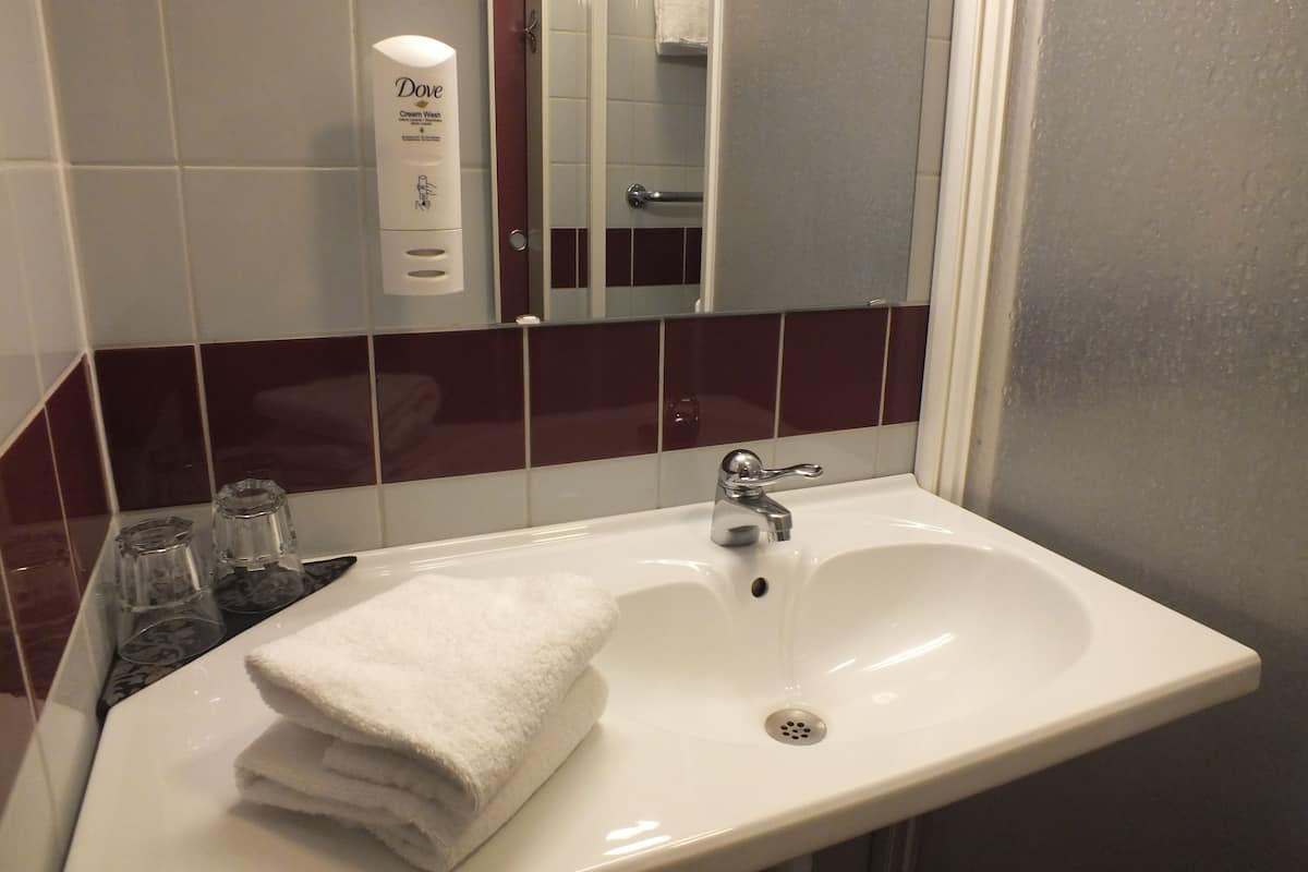 shower, free toiletries, hair dryer, towels