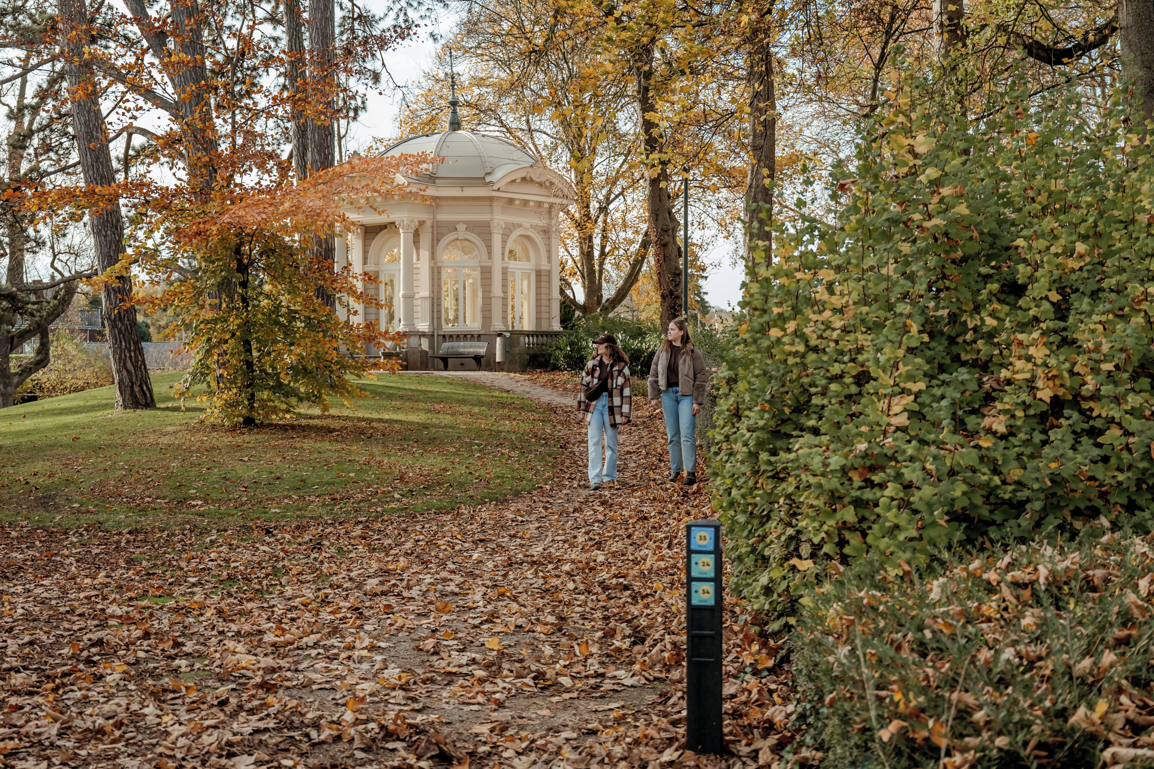 Un chemin menant à un bâtiment de style classique, surmonté d’un dôme, et entouré d’arbres aux feuilles d’automne.