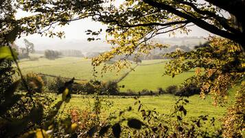 Un paysage rural avec un champ, des arbres et un bâtiment situé au loin.