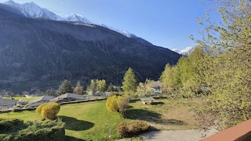 Comfort Studio | View from room