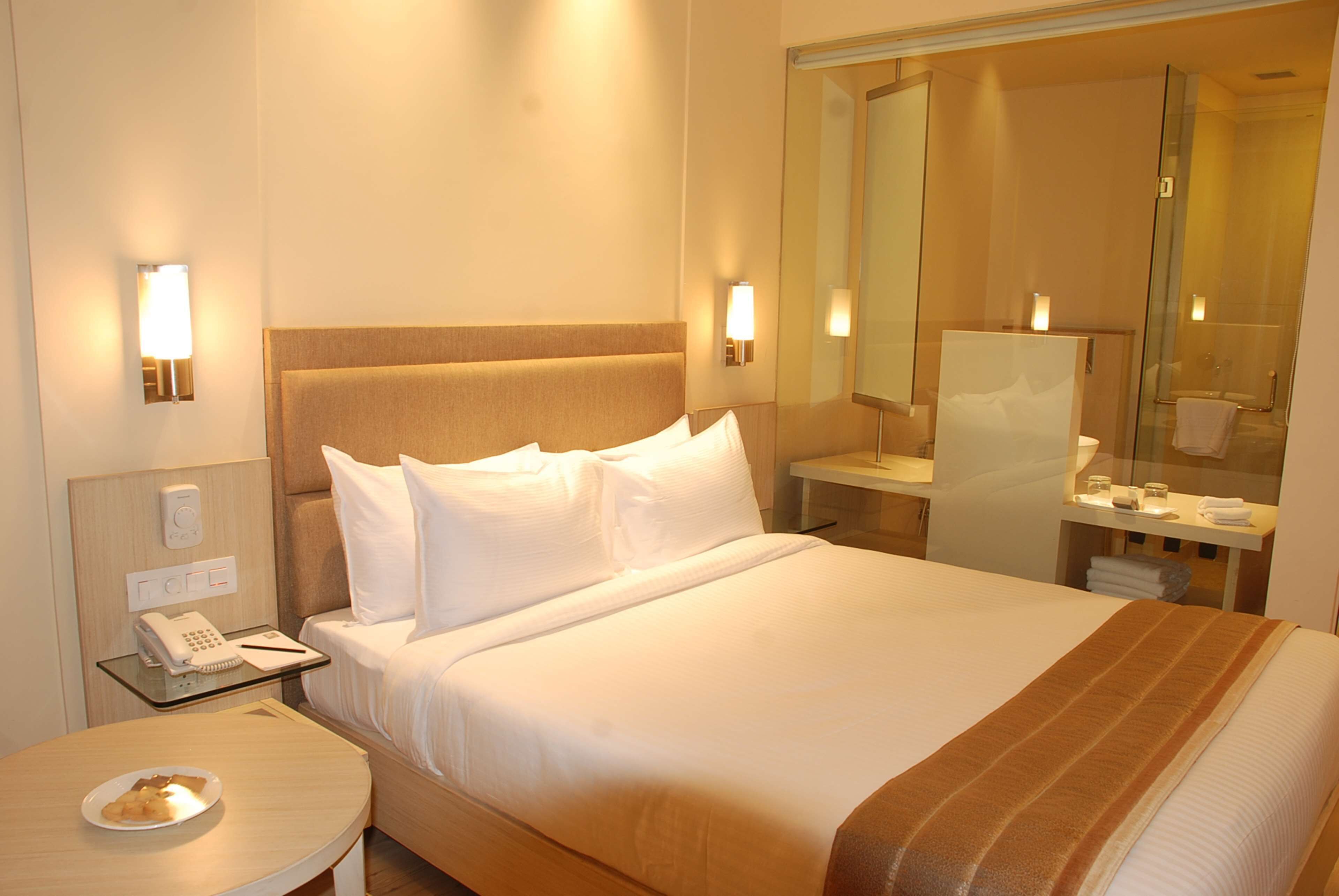 Foto - Sarovar Portico Naraina Delhi