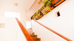 A staircase with wooden handrails and a wall-mounted planter with green plants. - Hotel El Almendro (Managua)