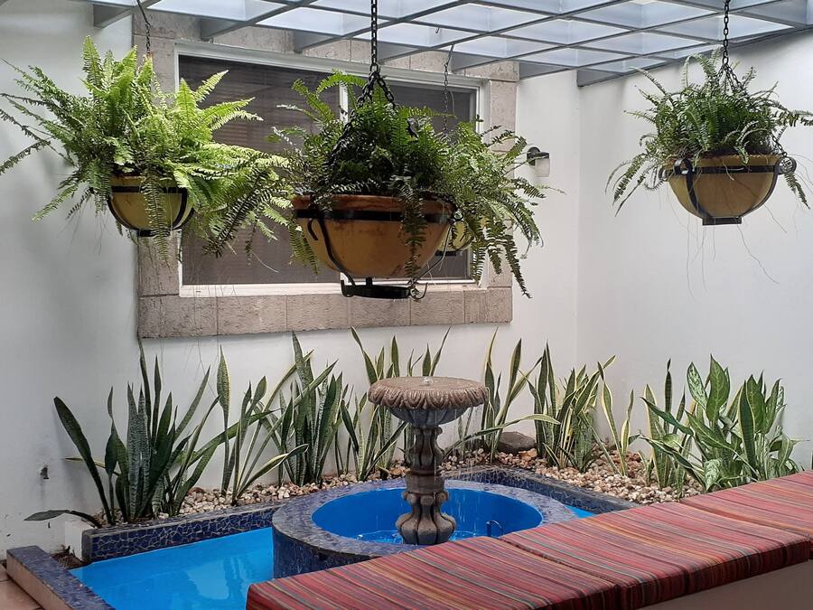 Un giardino interno moderno con fioriere sospese, una piccola fontana e un pavimento piastrellato.
