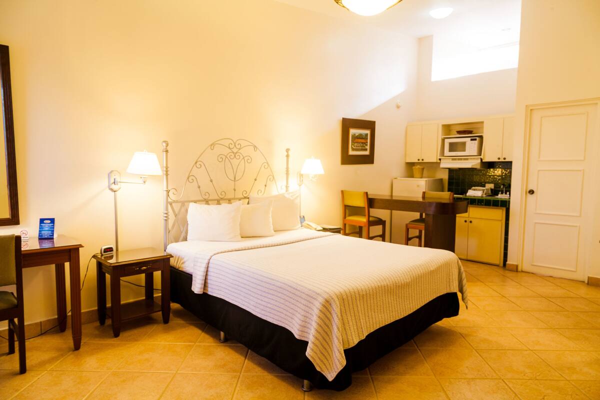 Business Studio, 1 Queen Bed | In-room safe, desk, iron/ironing board, cribs (free)