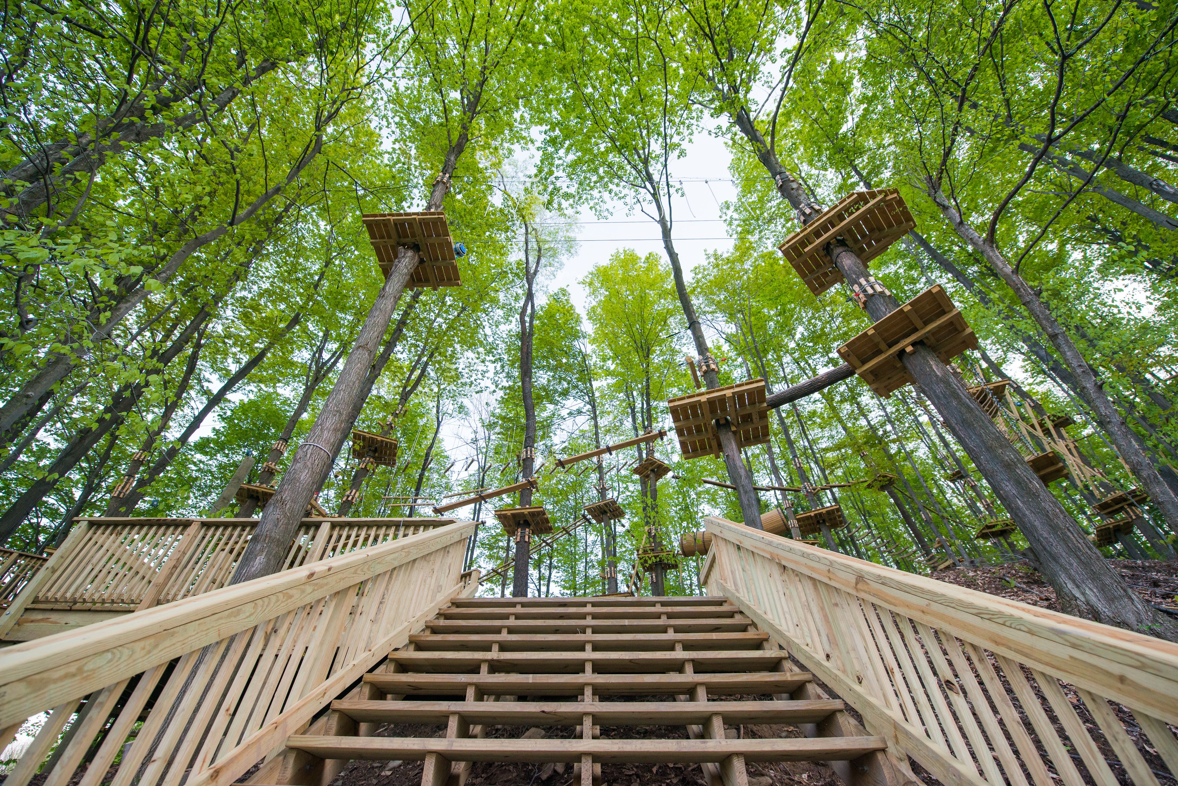 Ropes course (team building)