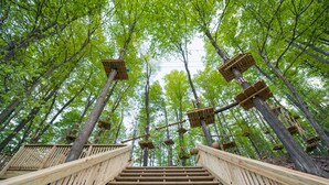 A wooden staircase leading up through a forest, surrounded by trees and wooden platforms. - Peek'n Peak Resort Trademark Collection by Wyndham (Clymer)