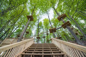 Ropes course (team building)