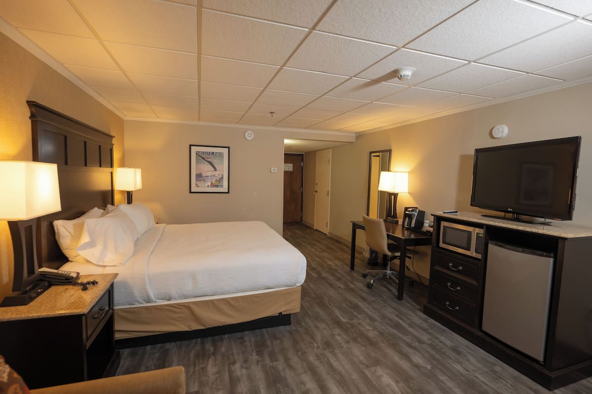 A hotel room with a bed, desk, television, and microwave.