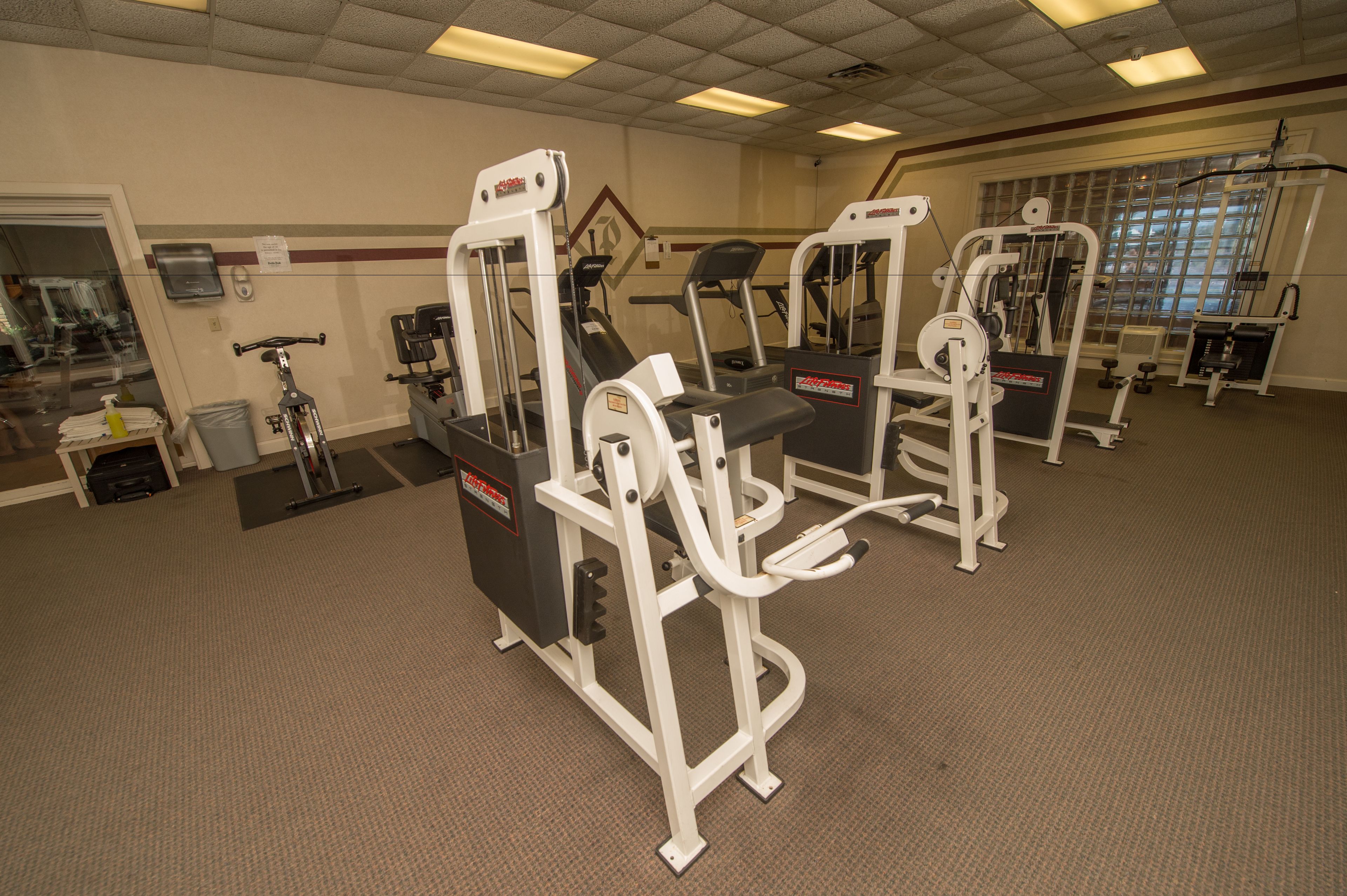 A gym with various exercise machines, a treadmill, and a mirrored wall.