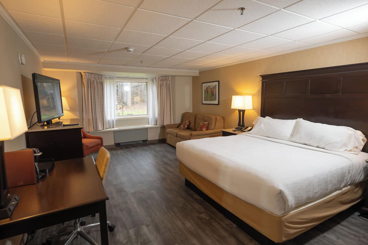 A hotel room with a large bed, a desk with a chair, a TV, a window with curtains, and a wall-mounted lamp.