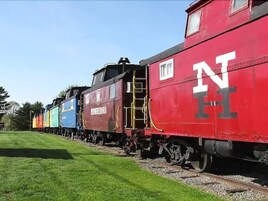 Un tren rojo con la inscripción "NH" en la carrocería, estacionado sobre vías de tren junto a una zona cubierta de césped.