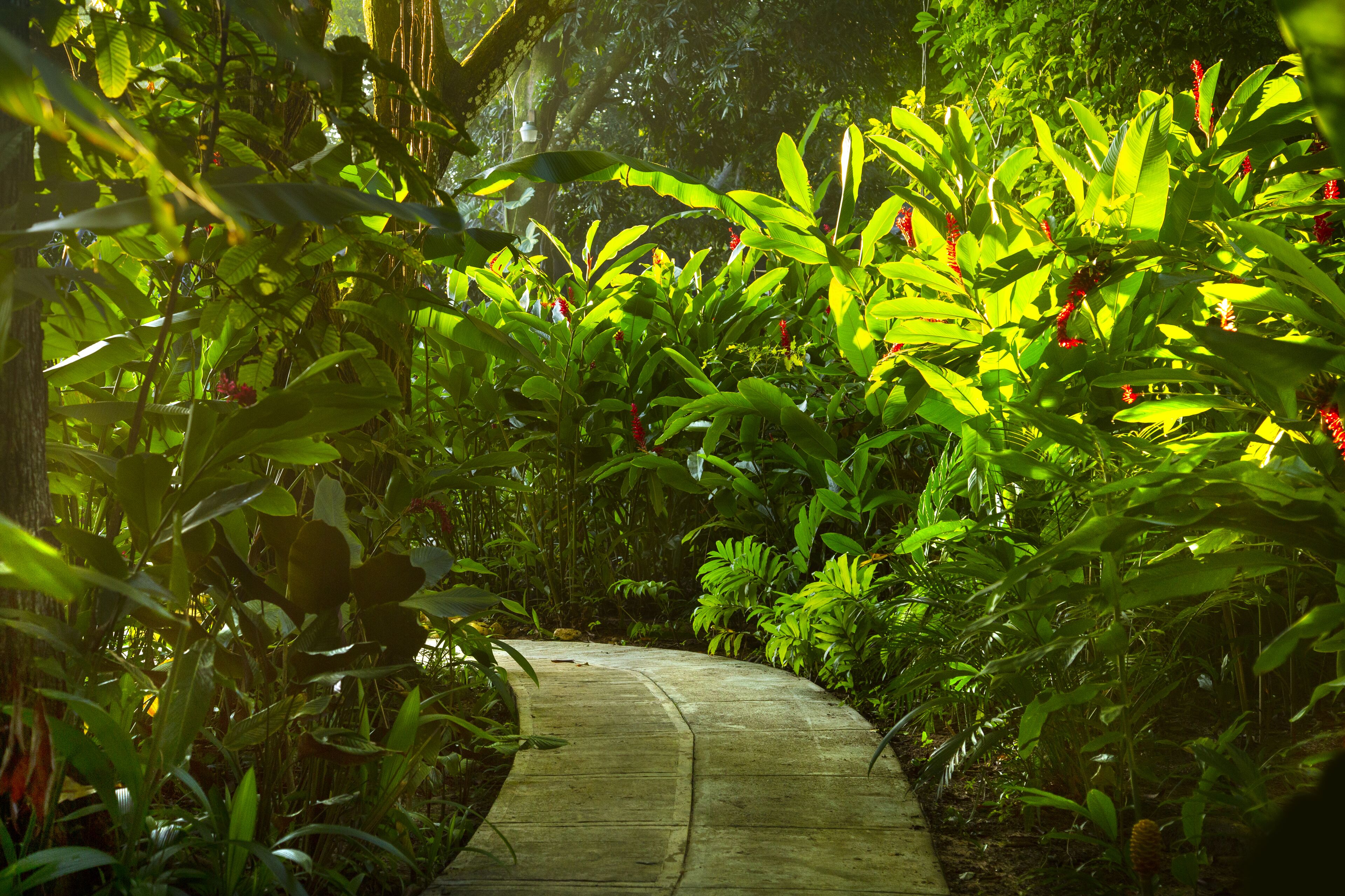 Alberca al aire libre 