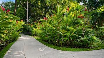 Un sendero curvo en un jardín exuberante con follaje denso y flores rojas.