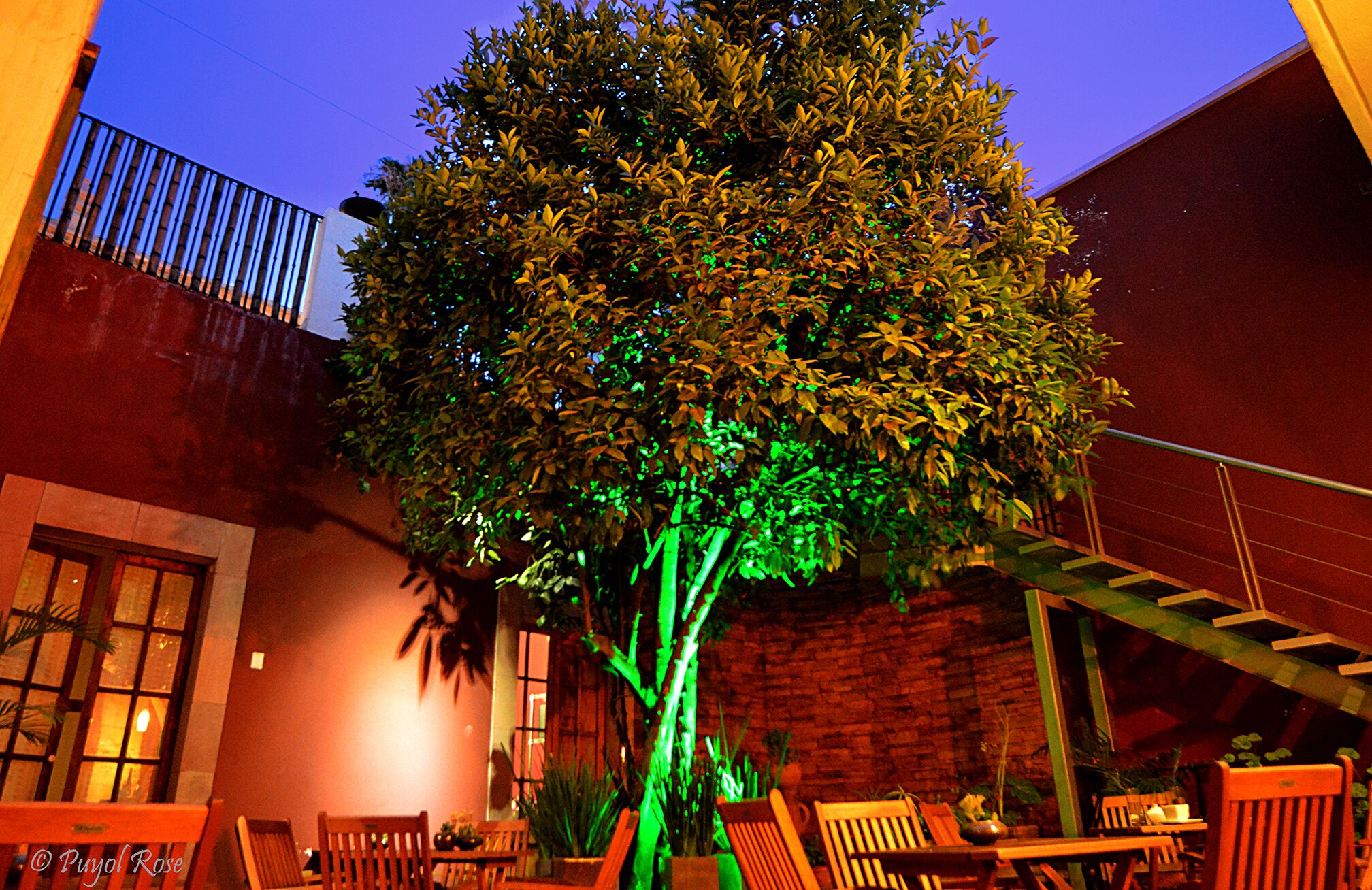 A tree with green lighting, a brick wall, and wooden furniture in an outdoor setting.