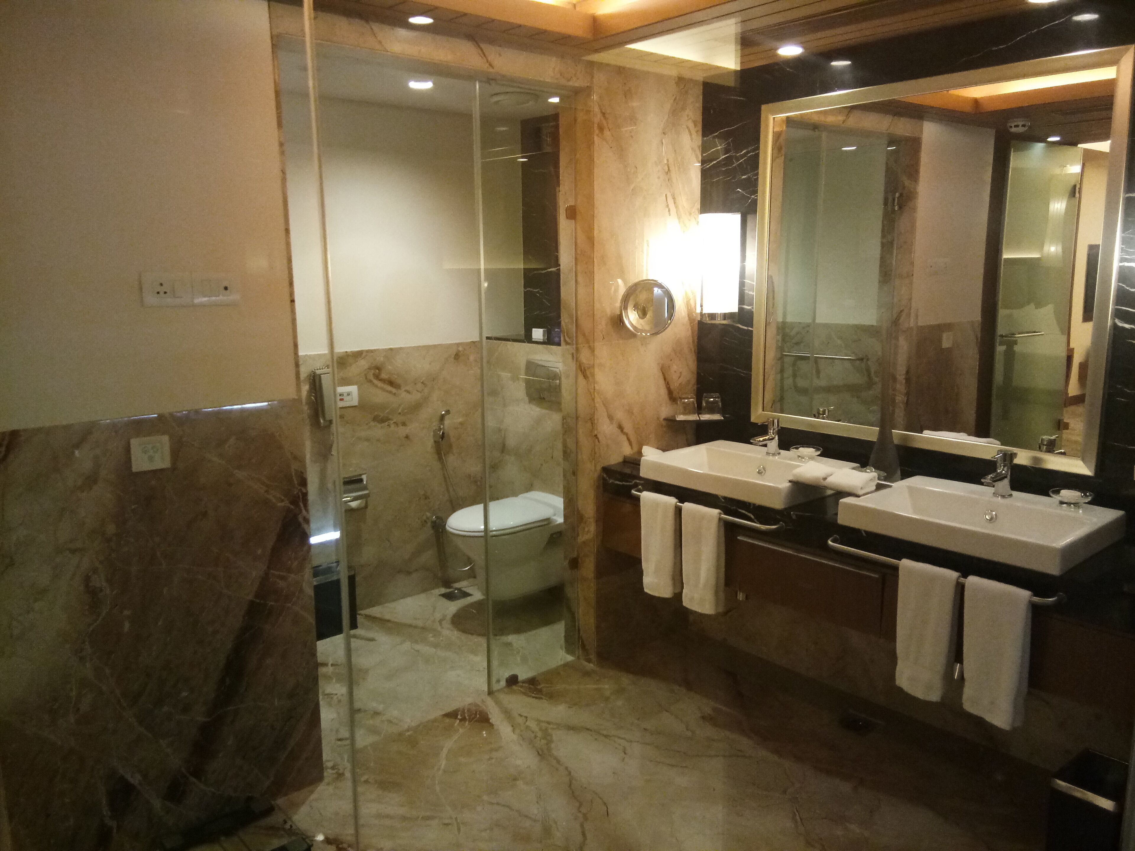 A modern bathroom with a glass-enclosed shower, two sinks, and a large mirror.