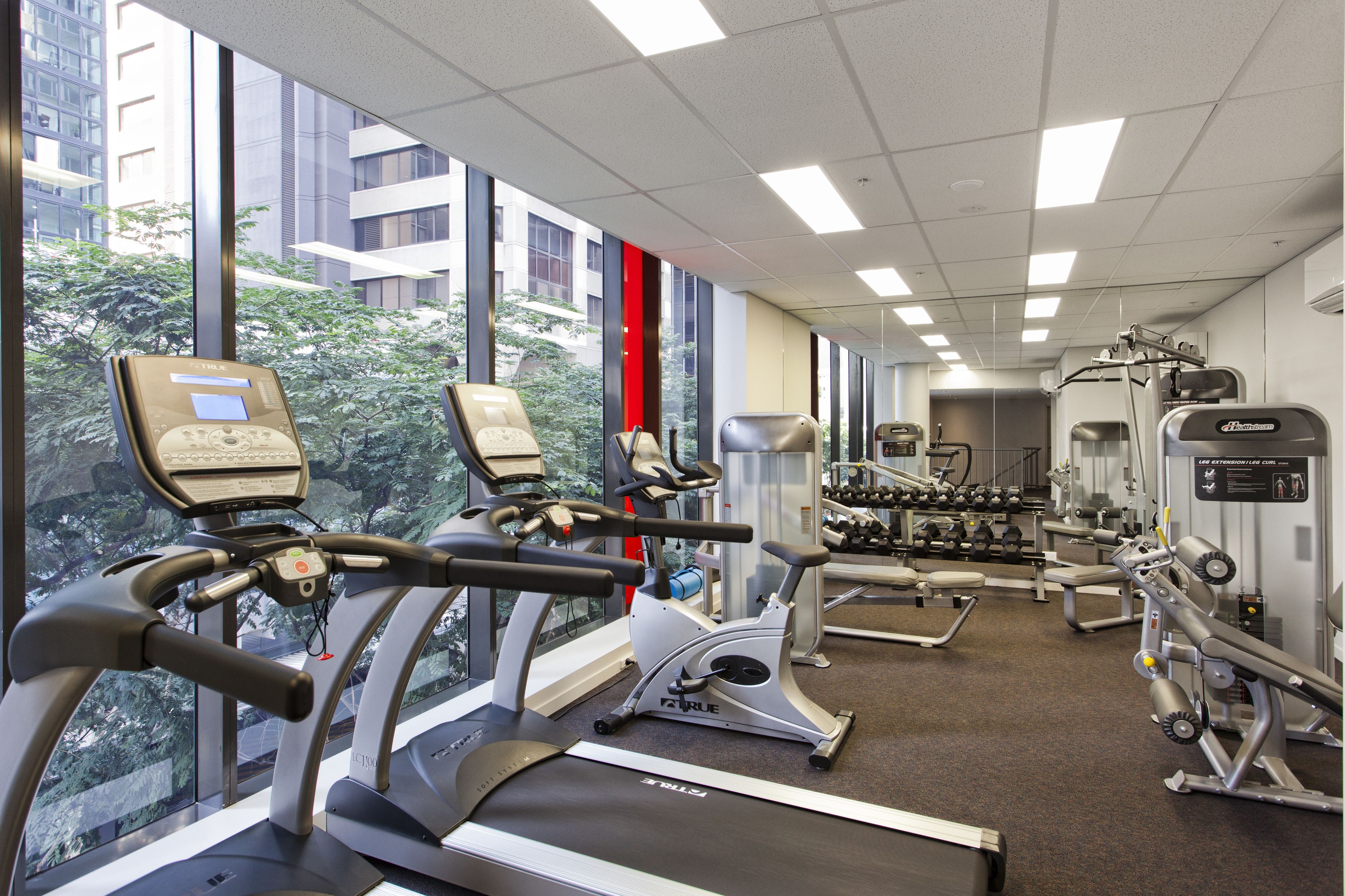 A gym with treadmills, elliptical machines, and weightlifting equipment.
