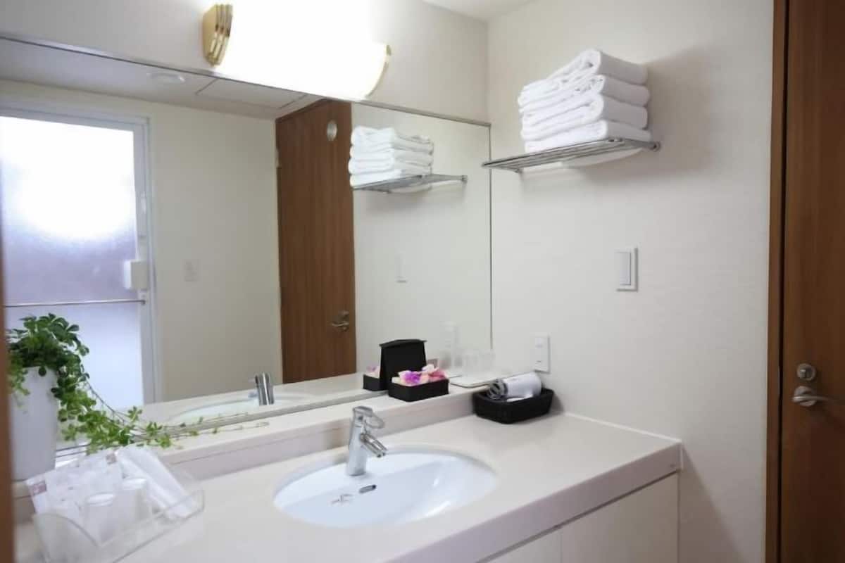 Bathroom | Shower, hair dryer, slippers, electronic bidet