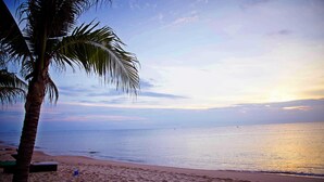 A beach with a palm tree and a clear sky.