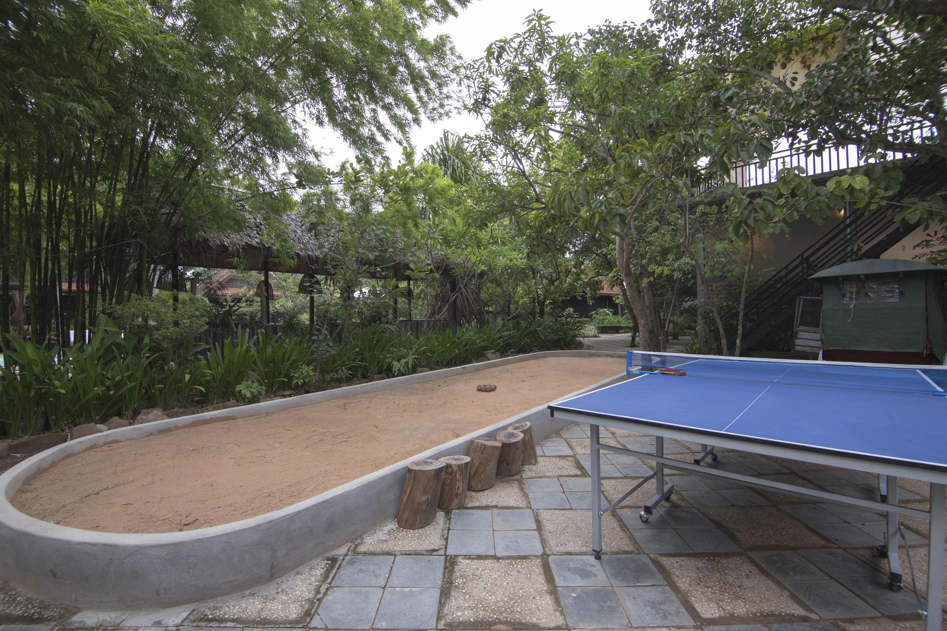 A ping pong table in a garden area with a dirt path and wooden stumps.