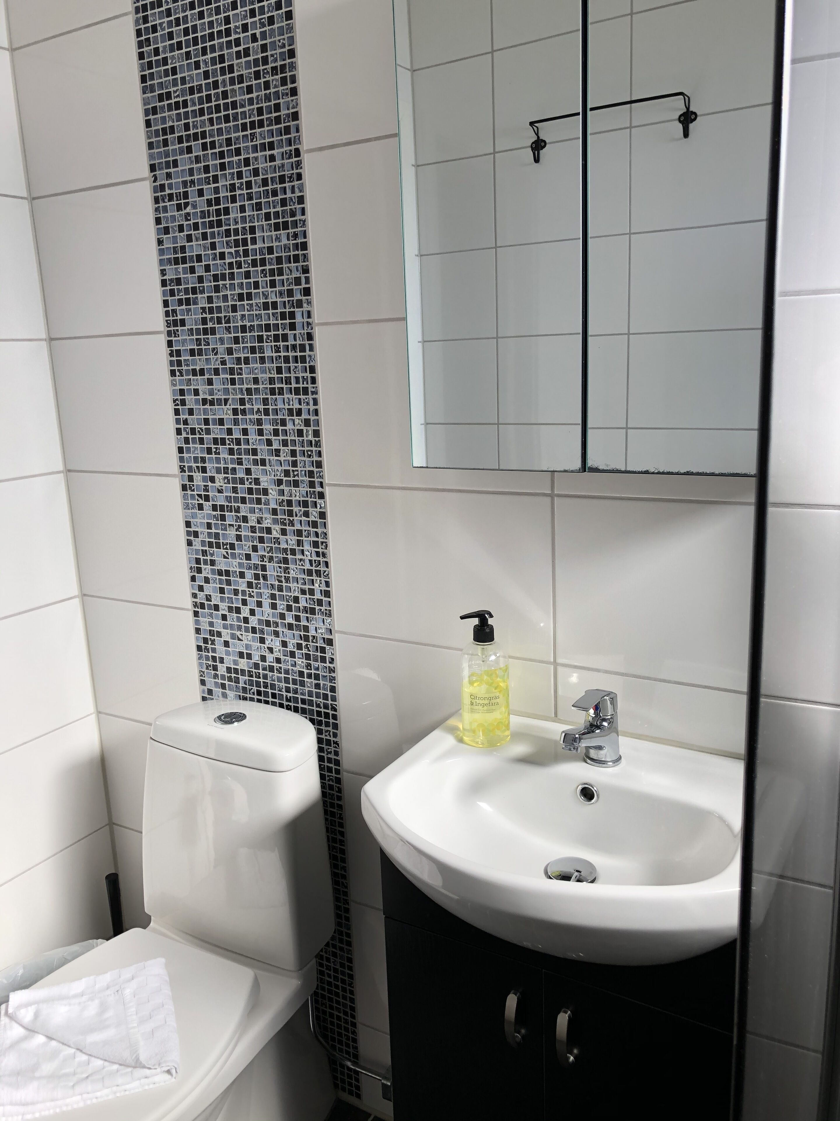 A bathroom with a toilet, sink, and mirror.