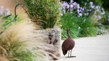 A turkey standing next to a concrete planter with green plants and purple flowers.