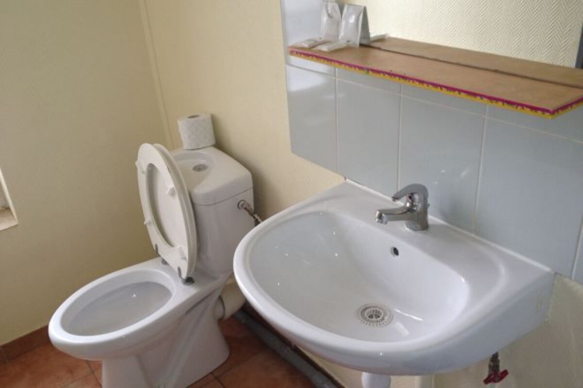 Un baño con inodoro y lavamanos.