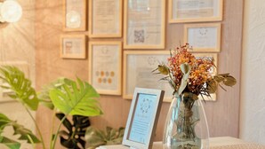 A reception desk with framed certificates, a vase with dried flowers, and a cat tree. - Hôtel le Nid (Argeles-sur-Mer)
