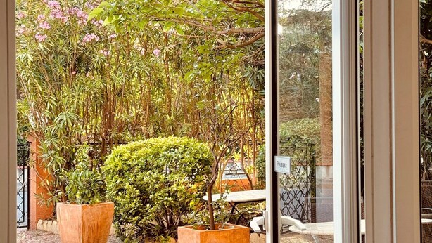 A view through a glass door into a courtyard with two large potted plants, a paved area, and a metal gate. - Hôtel le Nid (Argeles-sur-Mer)