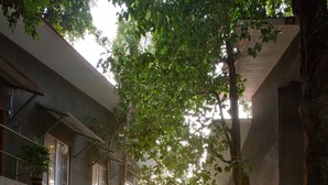 Una escalera rodeada de exuberante vegetación que conduce a un edificio con ventanas y balcones amplios.