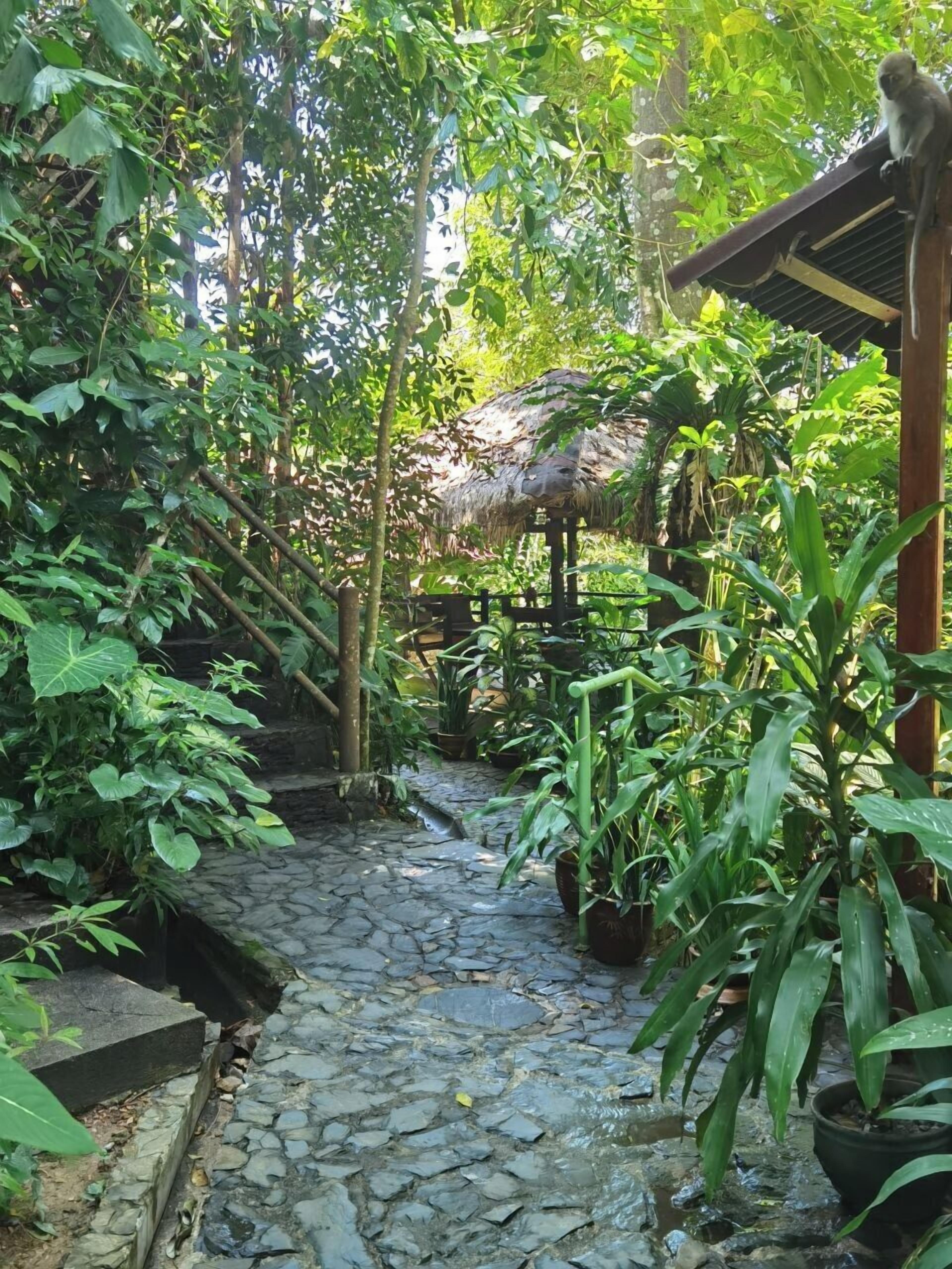 Photo - Ambong Rainforest Retreat