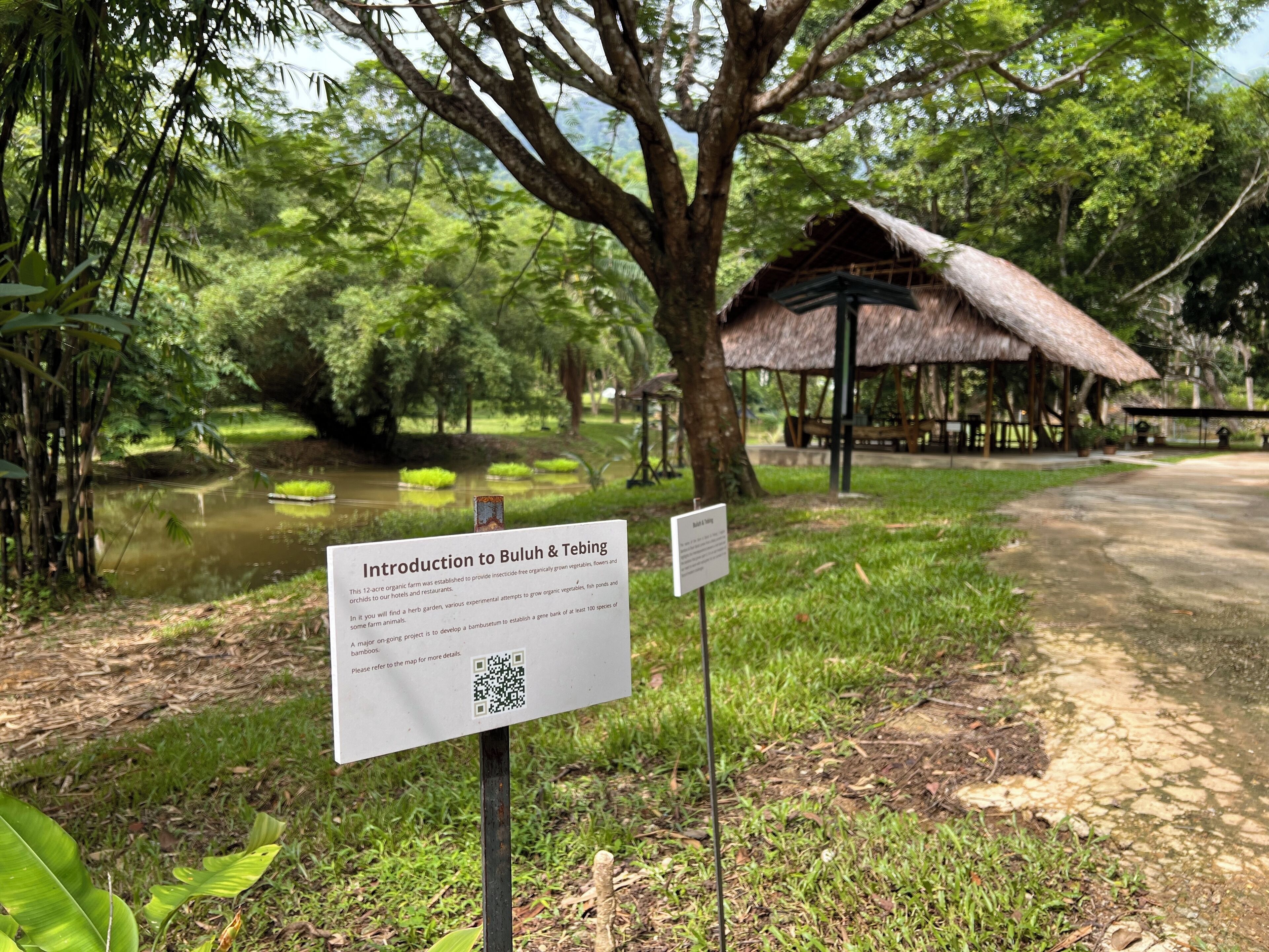 Foto - Ambong Rainforest Retreat