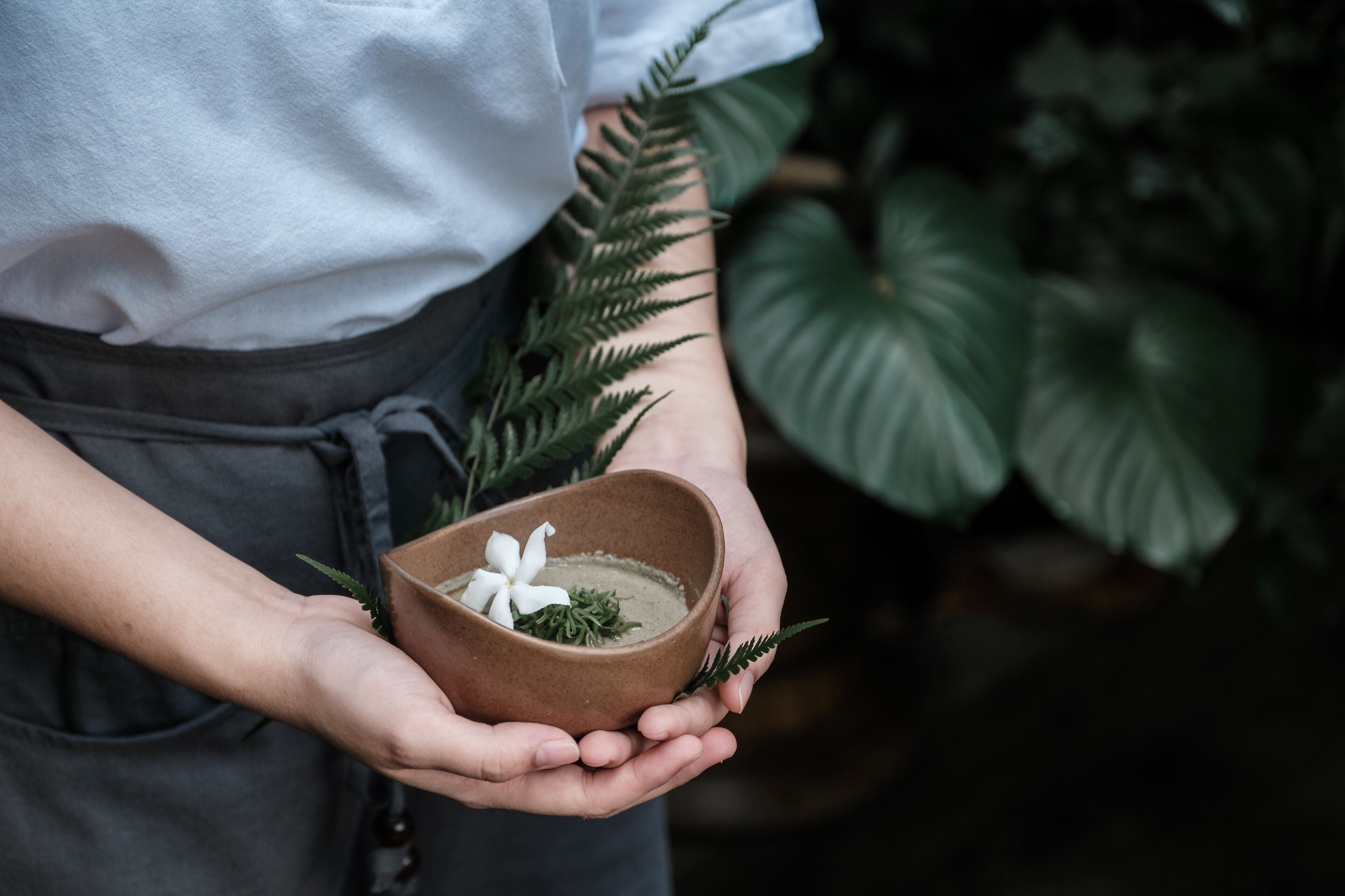 Photo - Ambong Rainforest Retreat