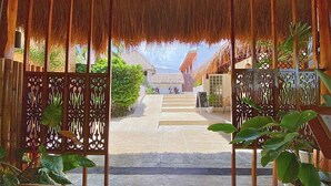 A tropical resort entrance with a thatched roof, a paved pathway, and a view of the ocean and buildings in the distance. - Palms Cove Resort (Panglao)