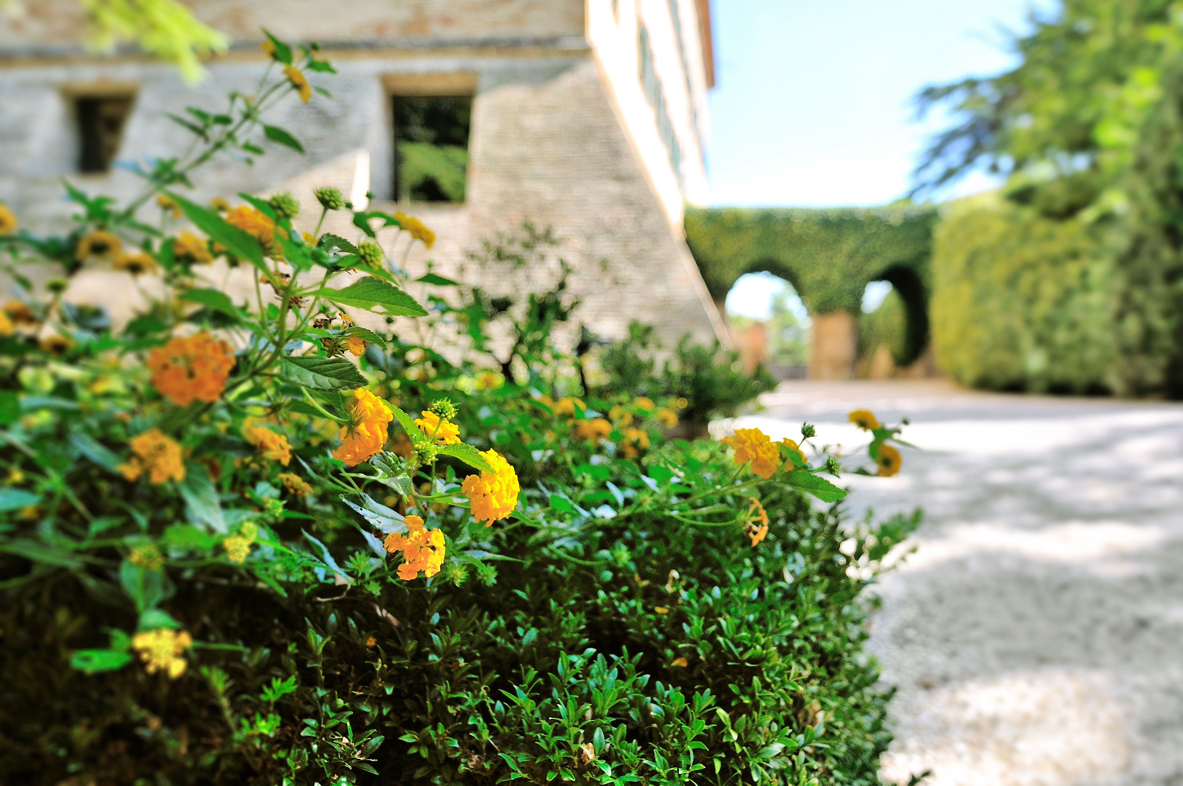 Foto - Castello Di Monterado