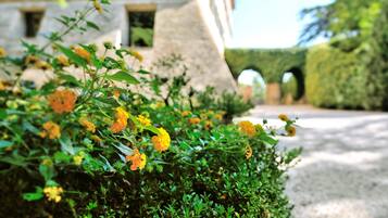 A garden with yellow flowers and a stone building in the background.